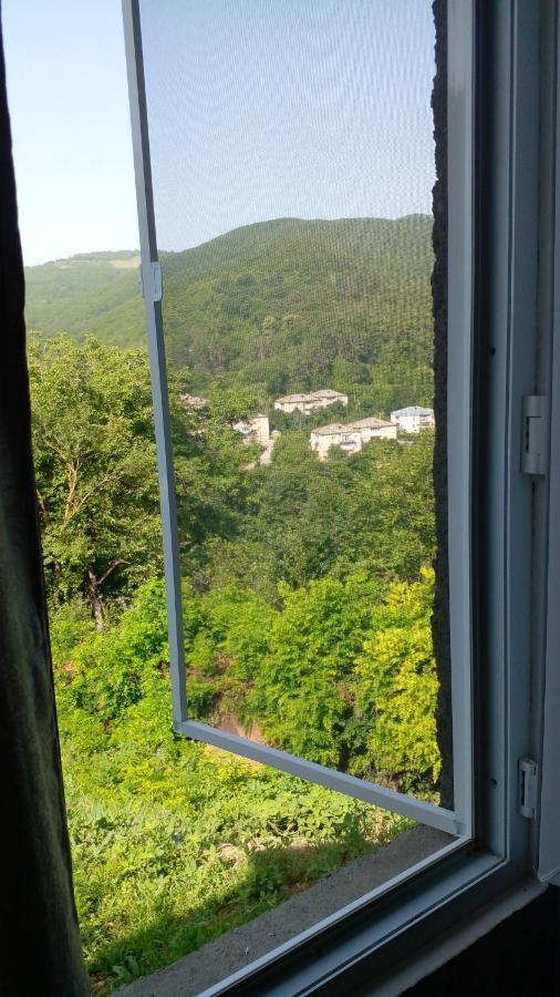 ホテル Pirosmani 66 シグナギ エクステリア 写真