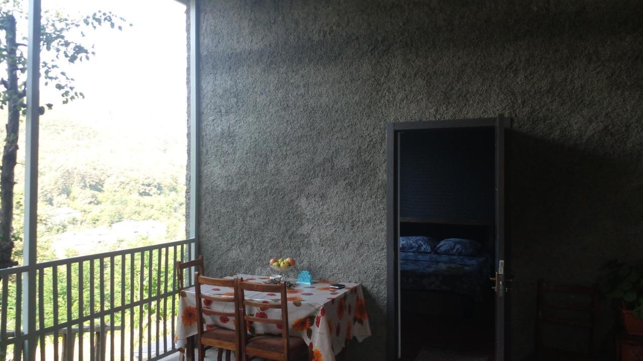 ホテル Pirosmani 66 シグナギ エクステリア 写真